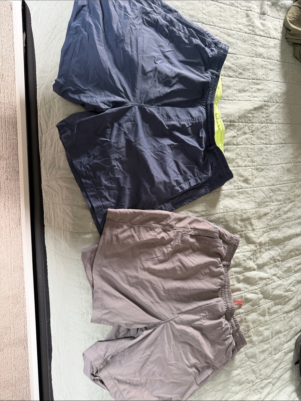 Birddogs Navy and Gray Birddog 2XL SHORT
